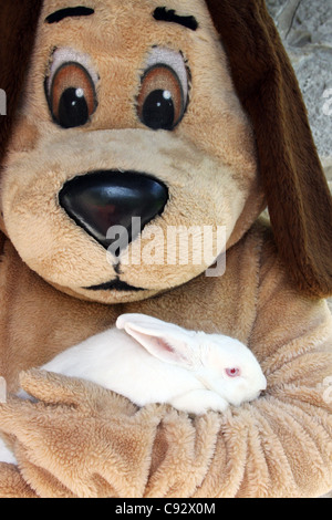 Un costume marionnette chien tenant un lapin blanc aux yeux rouges Banque D'Images