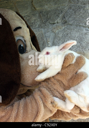 Un costume marionnette chien tenant un lapin blanc aux yeux rouges Banque D'Images