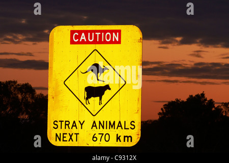 Panneau d'avertissement pour les kangourous et les vaches next 670km, au début de la Gibb River Road, près de Wyndham, région de Kimberley, Australie occidentale Banque D'Images