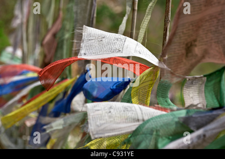 Les drapeaux de prières flottent partout dans la brise sur un pont à l'extérieur au Bhoutan. Mongar Banque D'Images