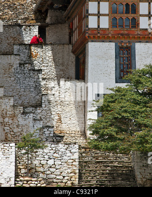 Deux moines bouddhistes robe rouge chat au soleil sur les marches de pierre menant à la 17e siècle Kurjey Lhakhang temple. Banque D'Images