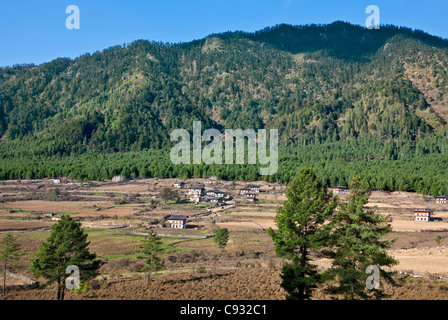 Les fermes de la vallée de Phobjikha fertile. Banque D'Images