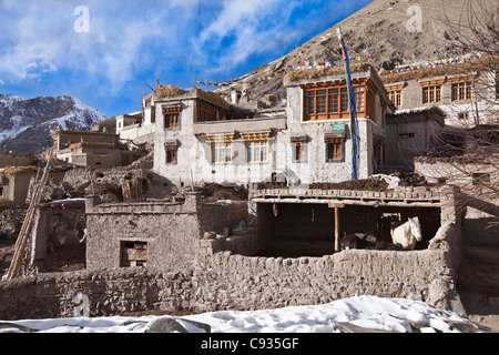 L'Inde, le Ladakh, Rumbak. Une chambre chez l'habitant dans le village de Rumbak, fourrage et excréments sur le toit. Banque D'Images