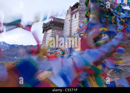 L'Inde, Ladakh, Leh. Les drapeaux de prières flottant dans la brise à Namgyal Tsemo. Banque D'Images