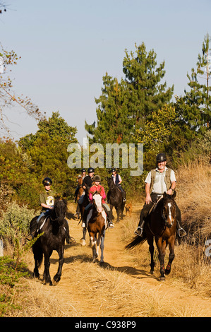 Plateau de Zomba, Malawi. L'équitation est un moyen populaire d'explorer le plateau des promenades guidées sur le plateau d'écuries. Banque D'Images