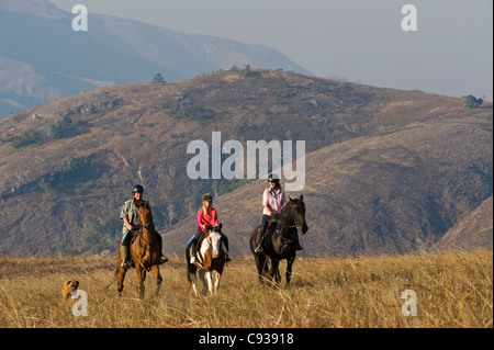 Plateau de Zomba, Malawi. Un safari à cheval est un moyen populaire d'explorer le plateau de Zomba. Banque D'Images