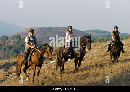 Plateau de Zomba, Malawi. Un safari à cheval est un moyen populaire d'explorer le plateau de Zomba. Banque D'Images