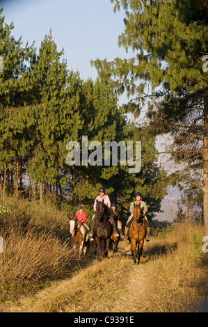 Plateau de Zomba, Malawi. Un safari à cheval est un moyen populaire d'explorer le plateau de Zomba. Banque D'Images