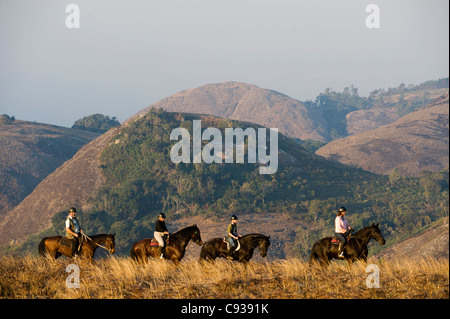 Plateau de Zomba, Malawi. Un safari à cheval est un moyen populaire d'explorer le plateau de Zomba. Banque D'Images