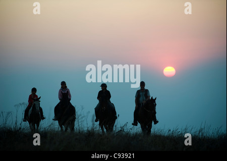 Plateau de Zomba, Malawi. Un safari à cheval est un moyen populaire d'explorer le plateau de Zomba. Banque D'Images