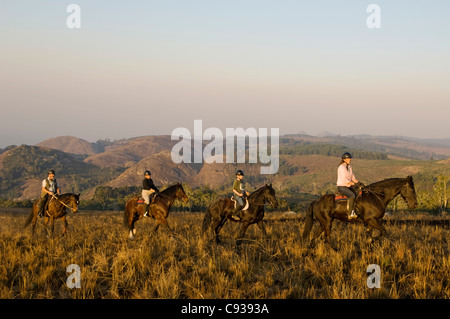 Plateau de Zomba, Malawi. Un safari à cheval est un moyen populaire d'explorer le plateau de Zomba. Banque D'Images