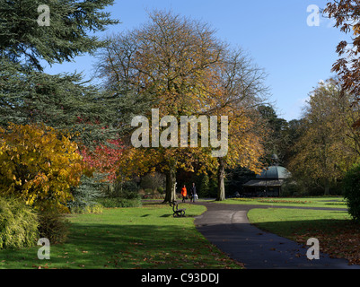 dh Valley Gardens HARROGATE NORTH YORKSHIRE personnes marchant à travers l'automne arbres verts royaume-uni sentier parc promenade Banque D'Images