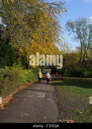 dh Valley Gardens HARROGATE North YORKSHIRE personnes marchant à travers l'automne parc vieux chemin de couple royaume-uni promenade de parc personnes âgées Banque D'Images