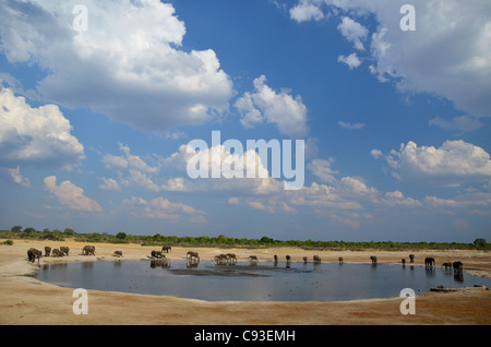 Le Zimbabwe est un petit pays doté d'une incroyable variété de paysages et d'animaux. Banque D'Images