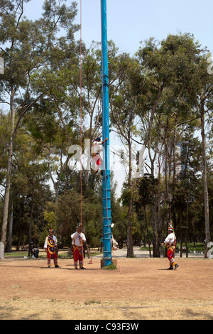 Voladores prépare à voler dans le parc de Chapultepec Mexico City Banque D'Images