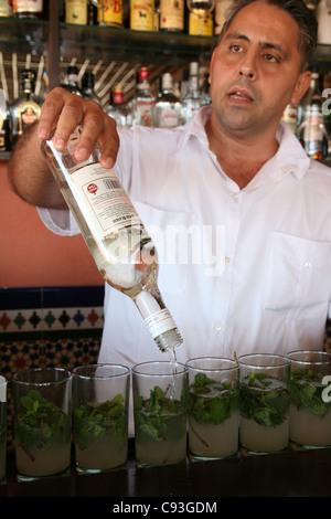 Barman prépare mojito cocktails à la terrasse du toit de l'hôtel Ambos Mundos, dans le centre historique de La Havane, Cuba. Banque D'Images