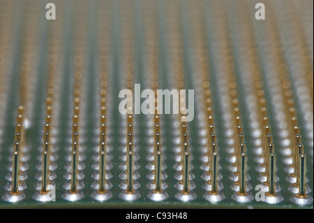 Macro de broches sur la face inférieure d'une unité centrale Banque D'Images