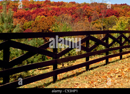 Après une clôture en automne noir limite fixe pour horse farm, Missouri USA Banque D'Images