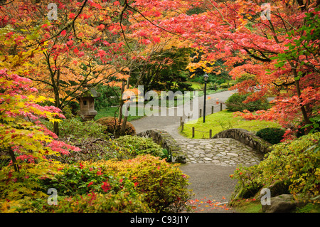 Jardin japonais à l'automne, le parc arboretum de Washington, Seattle, Washington. Banque D'Images