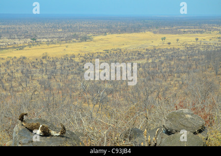 Le Zimbabwe est un petit pays doté d'une incroyable variété de paysages et d'animaux. Banque D'Images