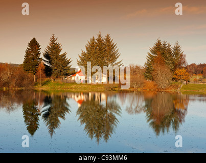 Avielochan près d'Aviemore en Badenoch et Strathspey, Inverness-shire. 7715 SCO Banque D'Images