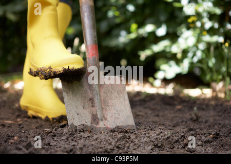 Personne creuser dans le jardin Banque D'Images