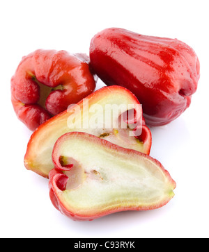 Rose des pommes ou chomphu sur fond blanc Banque D'Images