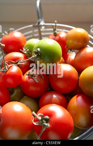 Close up tomates fraîches Banque D'Images