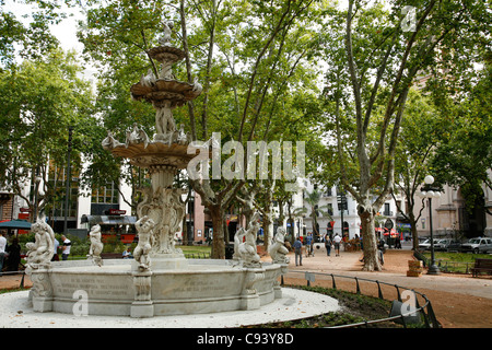 Plaza de la Constitucion également connu sous le nom de Plaza Matriz est la plus ancienne place de la vieille ville. Montevideo, Uruguay. Banque D'Images