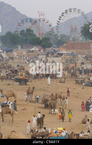 Mer de chameaux et chariots de chameau dans le camping, des grandes roues de la foire derrière, Pushkar Mela, Pushkar, Rajasthan, India Banque D'Images