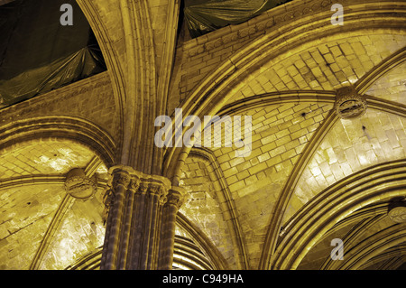 À l'intérieur de la cathédrale de la Sainte Croix et Sainte Eulalia, Barcelone, Espagne Banque D'Images