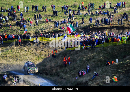 12.11.2011 Powys, Pays de Galles. Ken Block (USA) et Co-Driver Alex Gelsomino (USA) dans la # 43 Monster World Rally Team Ford Fiesta RS WRC en action lors du premier passage de l'étape d'agneau doux (SS13) au cours de la 3e Journée de la FIA WRC Wales Rally GB. Crédit obligatoire : ActionPlus Banque D'Images