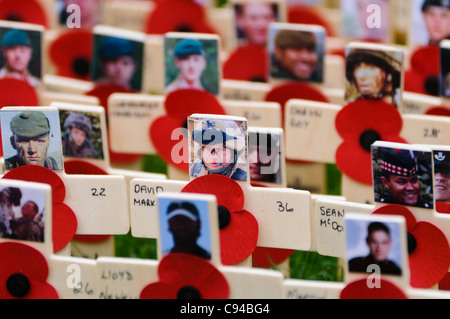 Croix de bois avec des coquelicots et des photographies en souvenir des soldats tués au combat. Banque D'Images