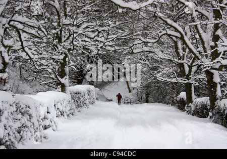 Ski homme au cours d'un hiver en anglais Banque D'Images