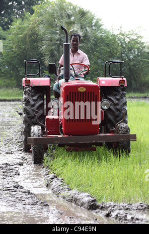 La préparation du tracteur une rizière Tamil Nadu Inde Banque D'Images