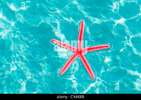 Étoile rouge flottant sur l'eau turquoise dans tropical beach Banque D'Images