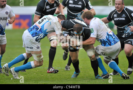 13.11.2011. Glasgow, Ecosse. 3 h Cup Rugby Union de la Firhill Stadium. Glasgow Warriors v baignoire.Ryan Grant tente de briser l'attaquer de DAve Attwood (L) et Stuart Hooper (R) Banque D'Images