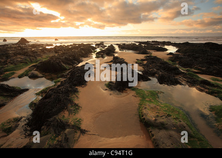 Automne coucher de soleil sur des roches à Sandymouth Bay, North Cornwall, England, UK Banque D'Images