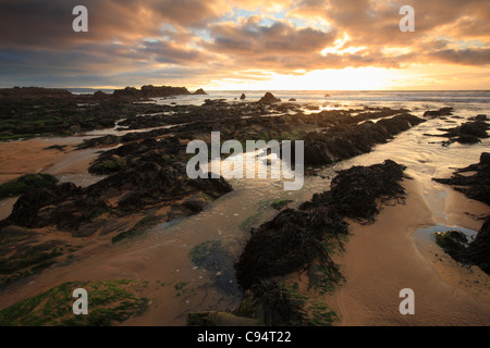 Automne coucher de soleil sur des roches à Sandymouth Bay, North Cornwall, England, UK Banque D'Images