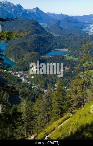Le sentier monte vers l'Allemagne Bavière Allgaeu Schwangau Tegelberg Banque D'Images