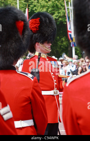 Agent de Garde à pied l'inspection de sa division au cours de la parade la couleur, Buckingham Palace, London, Royaume-Uni. Banque D'Images