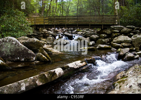 Une planche en bois passerelle enjambant un ruisseau rocheux dans les Great Smoky Mountains National Park Banque D'Images