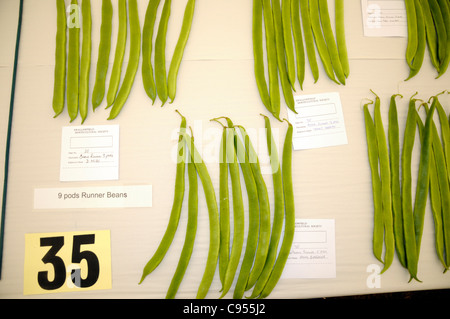 Les légumes sur l'affichage de la concurrence au pays montrent, au Royaume-Uni. Banque D'Images