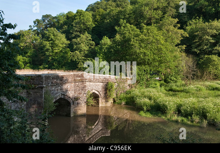 Cotehele Bridge, Cornwall, UK. Le pont traverse le ruisseau et Morden a été construit en 1820 dans le style médiéval Banque D'Images