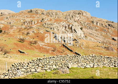 Le Langdale Pikes avec mur en pierre sèche près de Dungeon Ghyll dans Parc National de Lake District Cumbria England Royaume-Uni UK Banque D'Images