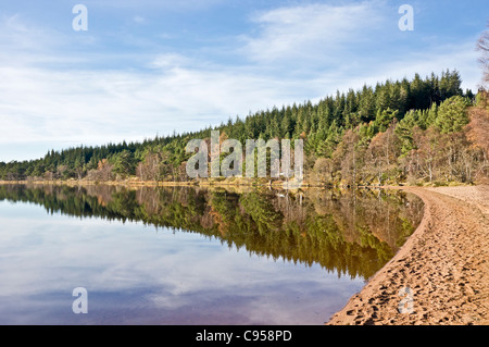 Le Loch Morlich et plage dans la région de Cairngorms d'écosse dans une ambiance calme et ensoleillée journée d'automne Banque D'Images