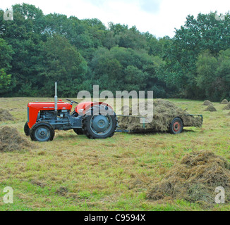 Tracteur Massey Ferguson 35 1956 et travaille encore tous les jours Banque D'Images