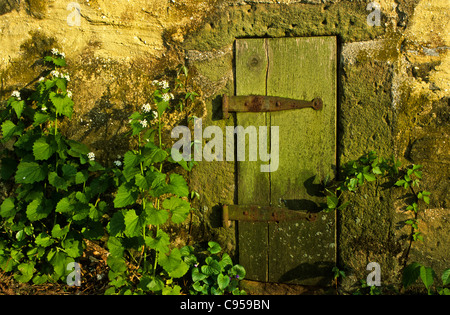 Nuances de vert obturateur de fenêtre fermé, mortier sous-sol à la ferme allemande vintage Hans Herr House dans le comté de Lancaster, Pennsylvanie, PA images US Banque D'Images