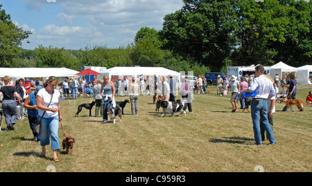Un pays dog show Editorial uniquement. Boules à croix dans le Sussex. Banque D'Images