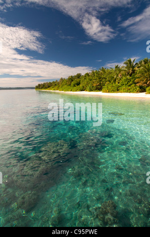 Simakakang island, îles Mentawai, à l'Ouest de Sumatra, Indonésie Banque D'Images